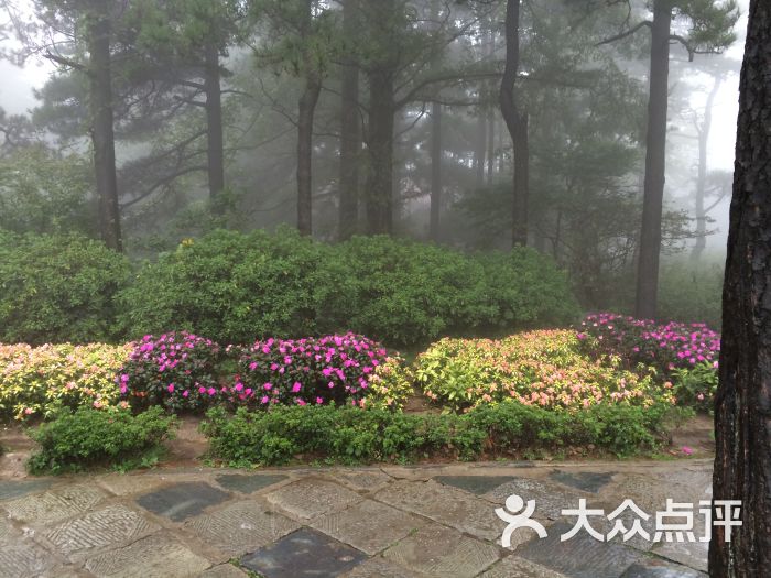 花径公园图片 - 第4张