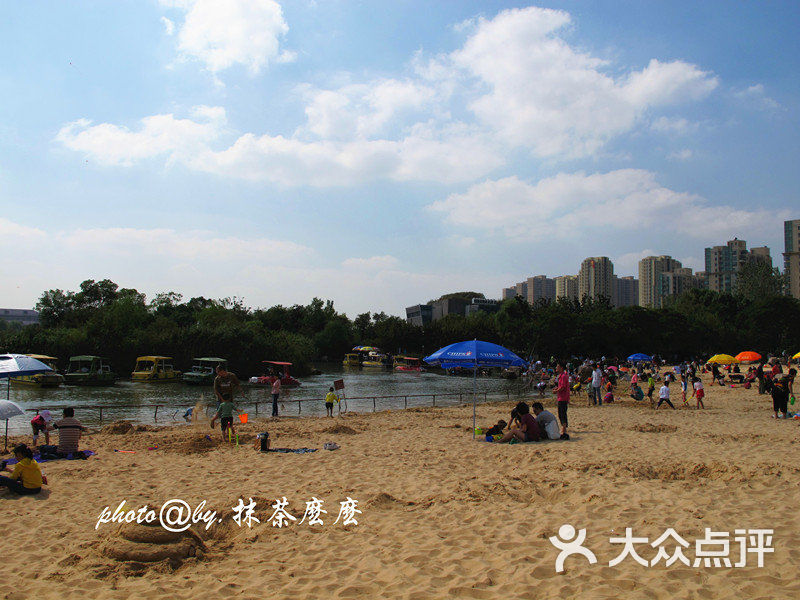 青枫公园