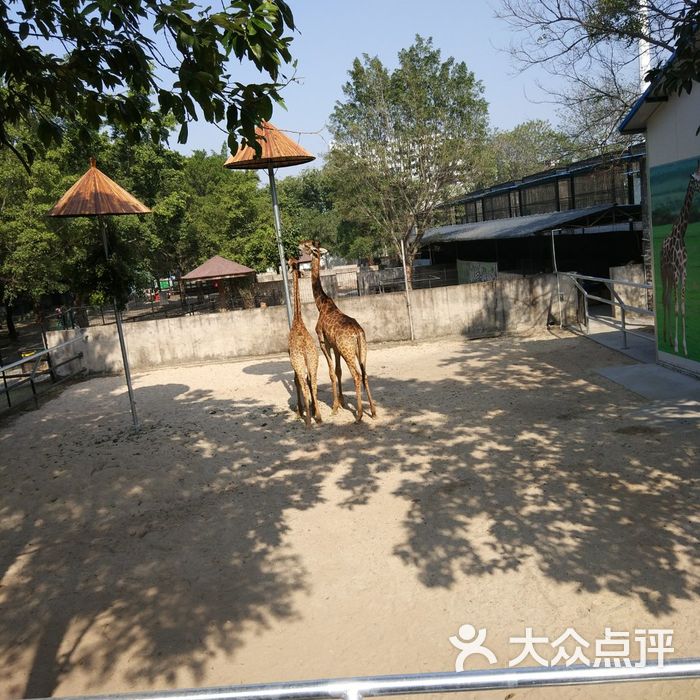 中山公园动物园