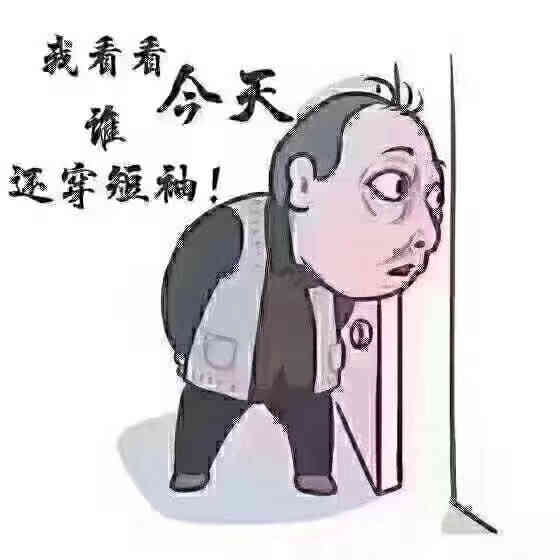 打分  一夜之间,天就冷了 ,  风一动,寒一重 一场秋雨一场寒   愿所有