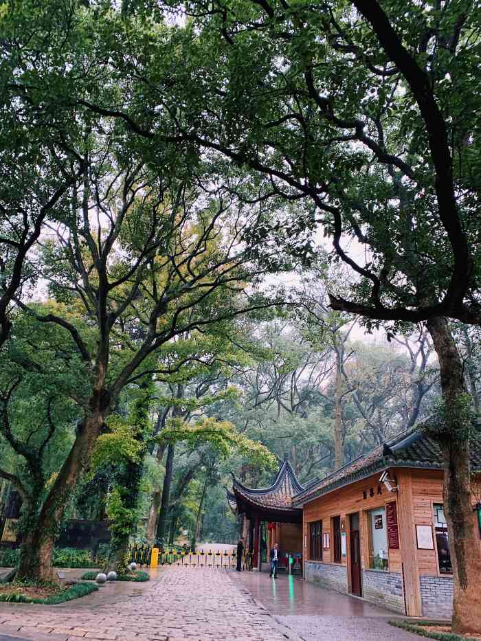 瑞岩寺森林公园"想去水库的,结果半路上没有停,直接一路开.