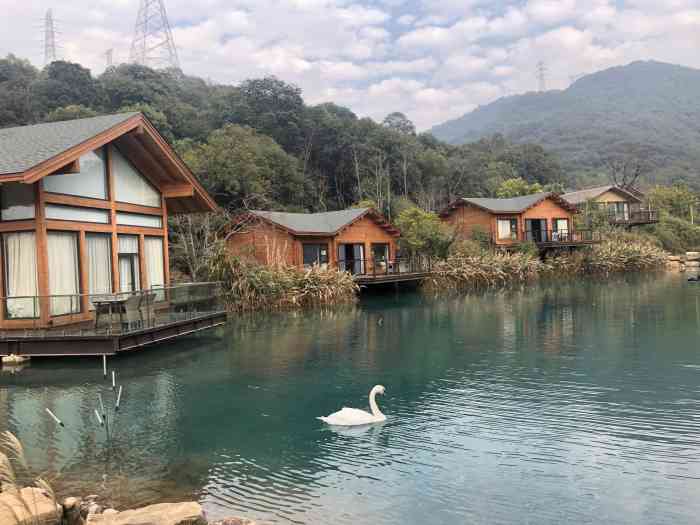 杭州开元森泊度假酒店-"这次住的圣诞90树屋两天都