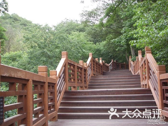 钟山风景区紫金山人行栈道图片-北京自然风光-大众