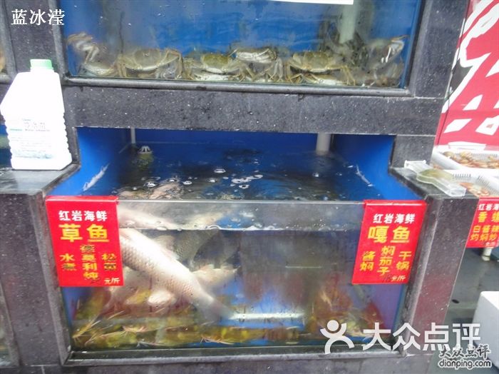 红岩海鲜美食广场_上汽依维柯红岩_红岩海鲜排挡(4)
