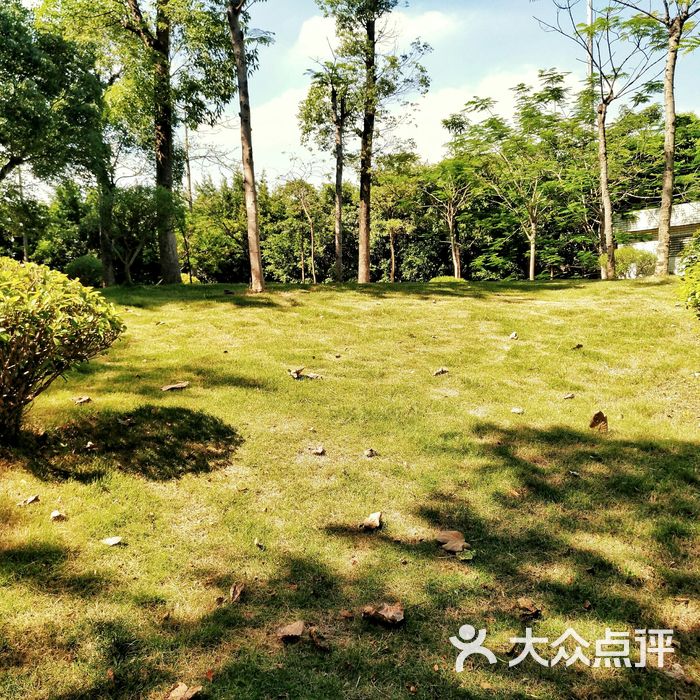 金沙洲绿心公园