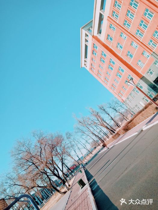 黑龙江交通职业技术学院图片