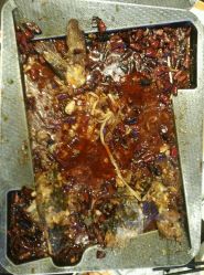 南锣肥猫&不二熊烤鱼(长楹天街店)的团购评价