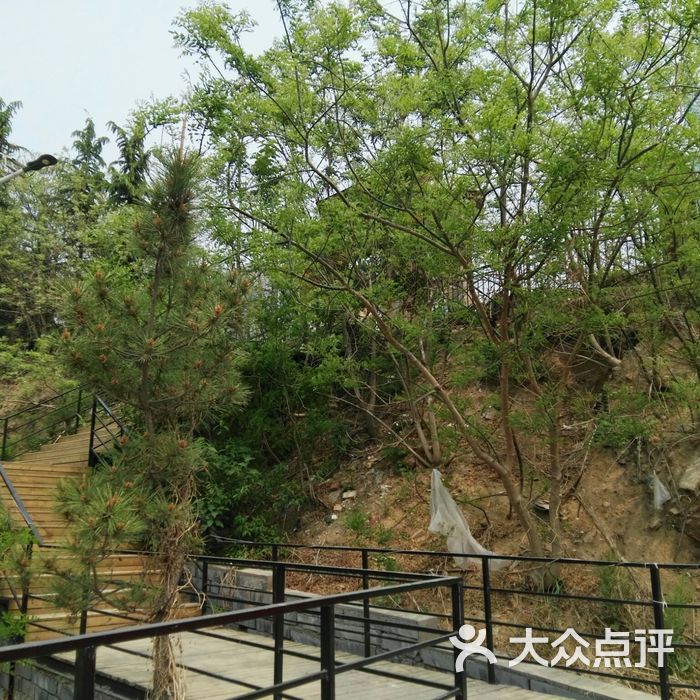 卧虎山庄 大众点评