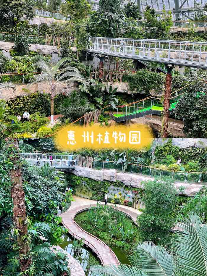 惠州植物园-"小清新片子又来啦 如果有一天拥有大果.