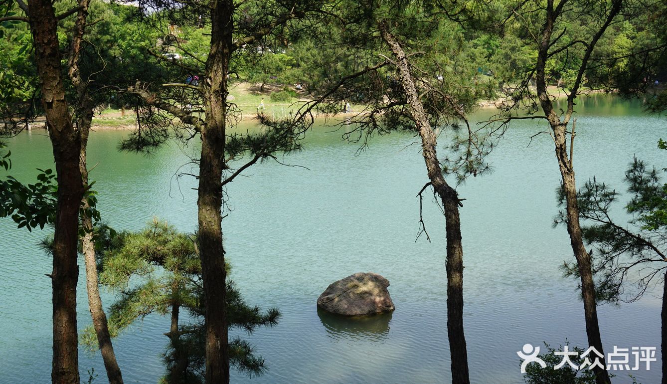 清明踏青南京溧水无想山