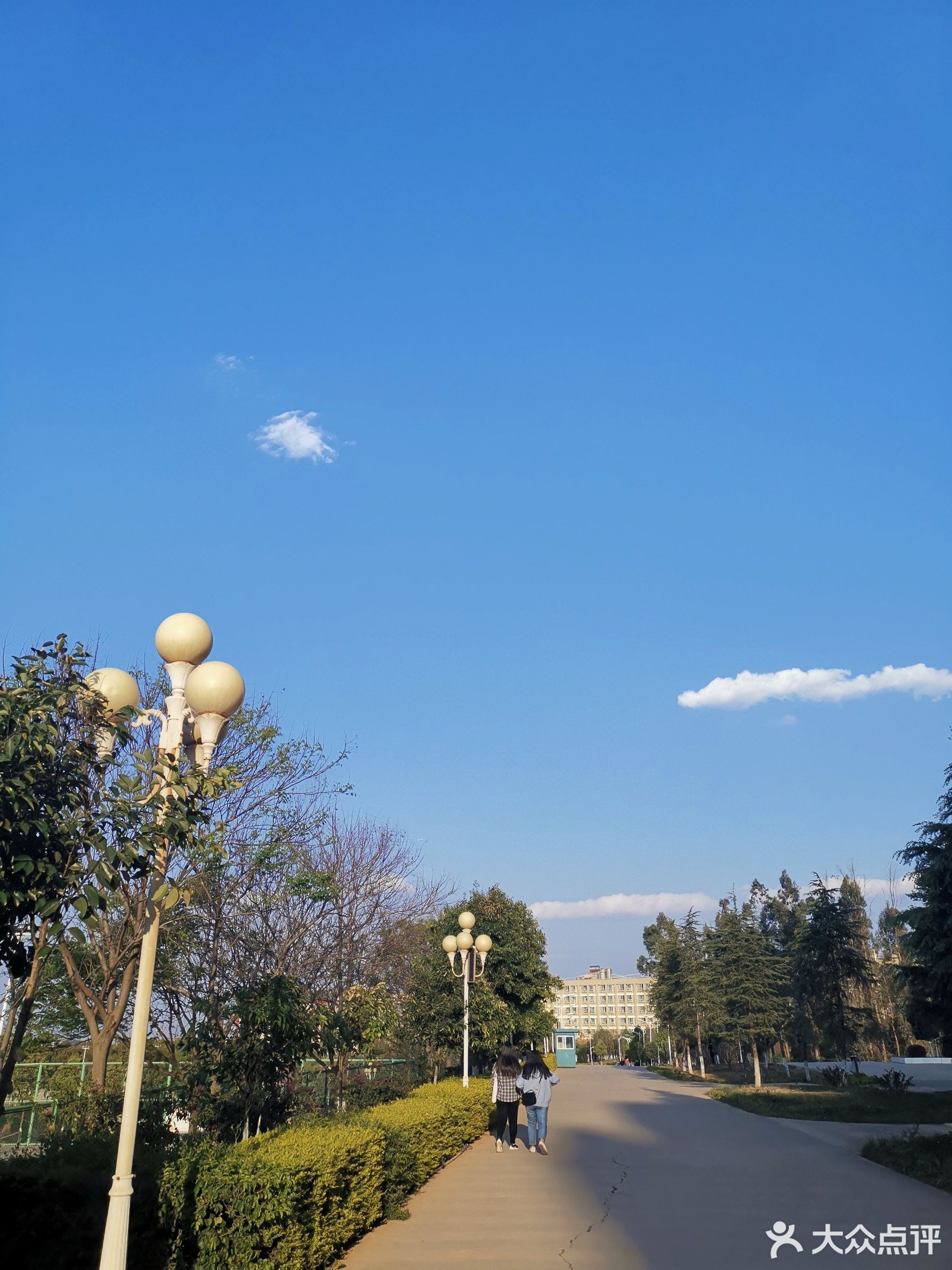 昆明市-云南师范大学文理学院(杨林校区)-地图,公交