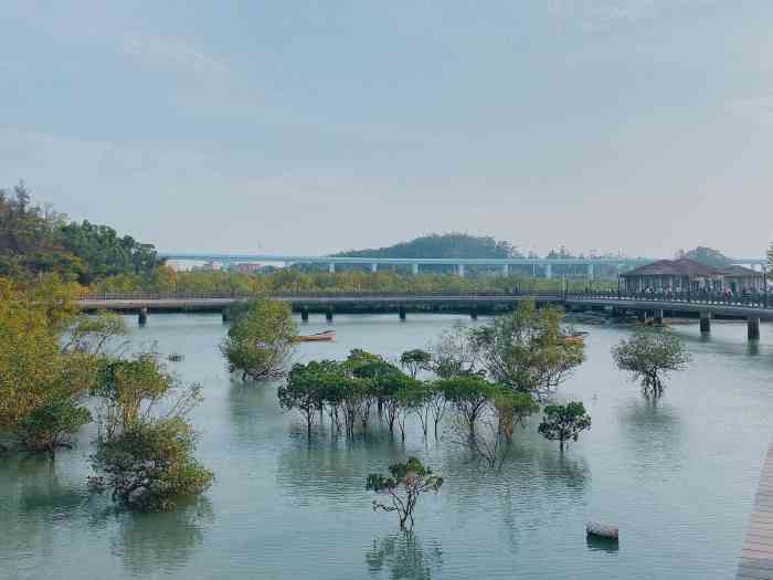 潭尾红树林湿地生态公园-"位于厦门翔安的 下潭尾红树林湿地生态公园