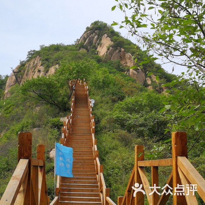 大岭沟猕猴桃谷风景区