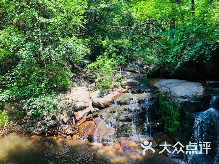 唯一的好处就是可以开车上去,车收费60元,.-雾