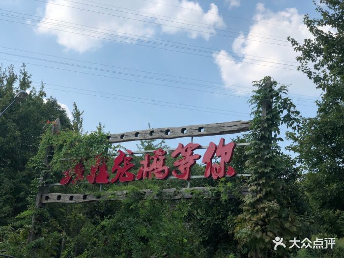 我在张桥等你图片 - 第9张