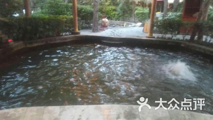 华清爱琴海国际温泉酒店温泉图片 - 第1张