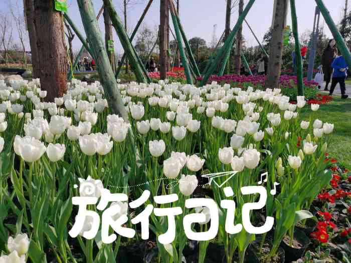 时光花境艺术公园"最初开业的时候去的 只需要转发朋友圈就可.