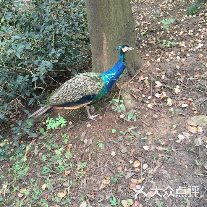 环程国际旅行社-图片-成都生活服务