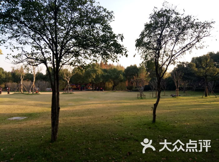泗泾公园图片 - 第84张