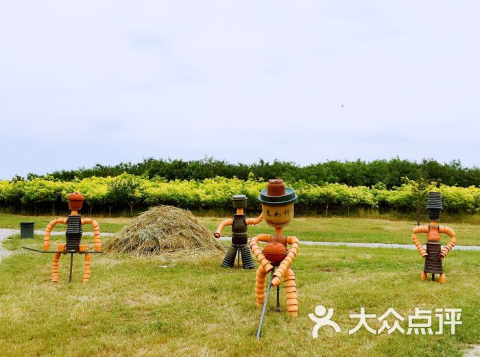 星期六休闲美式农场图片 第699张