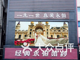 梧桐树婚纱摄影_梧桐树图片叶子图片(3)