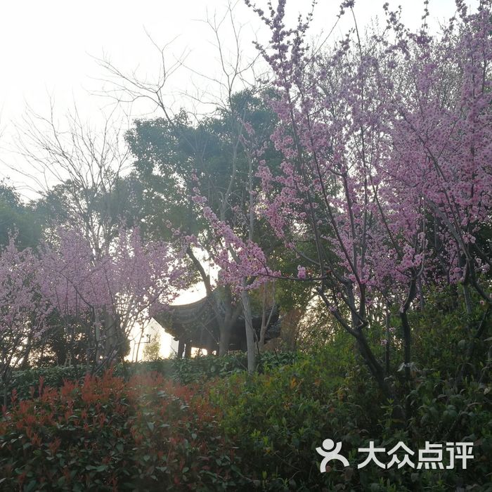 梅园公园