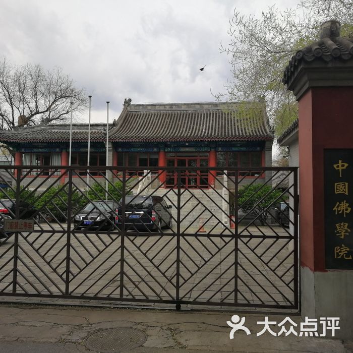 中国佛学院图片-北京大学-大众点评网