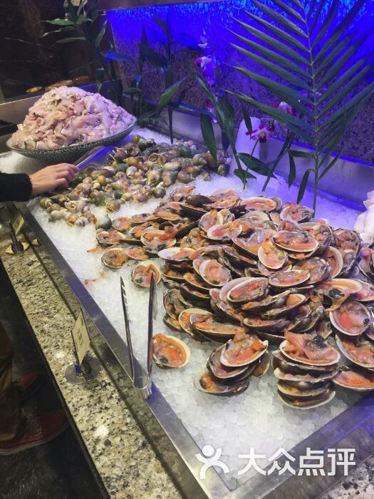 初色海鲜自助火锅图片-北京自助餐-大众点评网