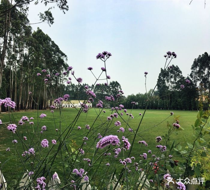 心花怒放party花园图片
