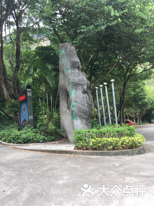 板障山森林公园图片 - 第54张