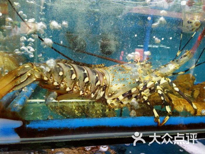三亚湾水产综合交易市场图片 - 第4张