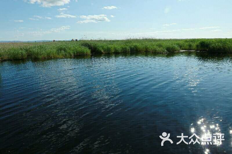 七星河湿地烤鹅-图片-宝清县美食-大众点评网