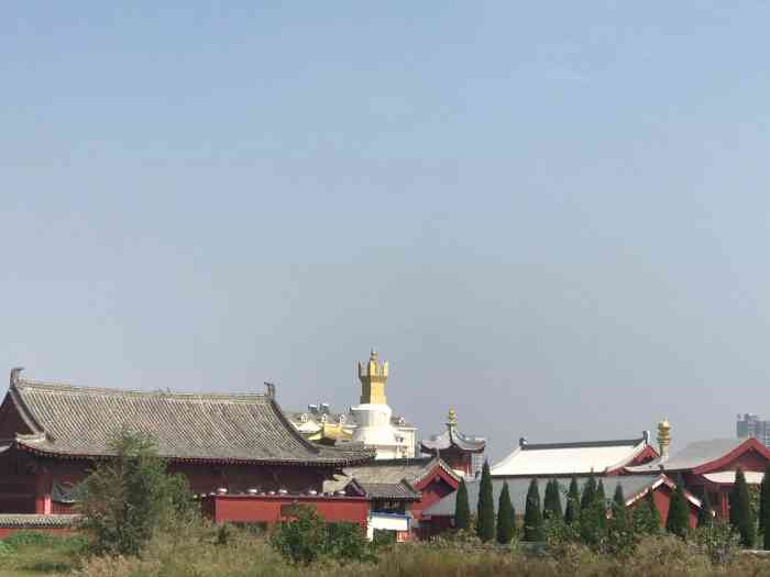 高唐大觉寺-"位于高唐县城老城区,被北湖的东南湖区.