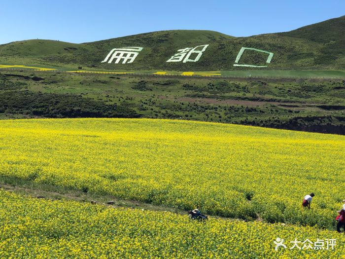 扁都口生态休闲旅游区图片 - 第16张
