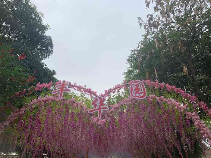 流溪湾丰华园-"有动物看,有水玩,有美食,有沙子还有.