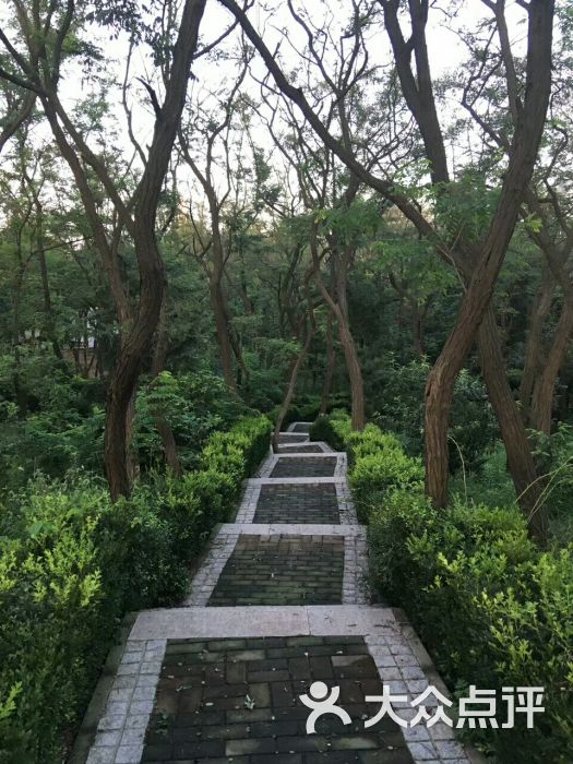 辛家庄北山公园图片 - 第10张
