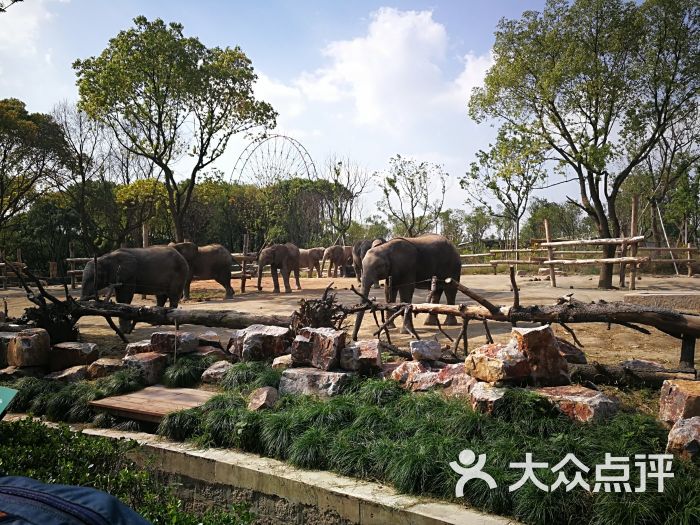 上海野生动物园图片 第444张