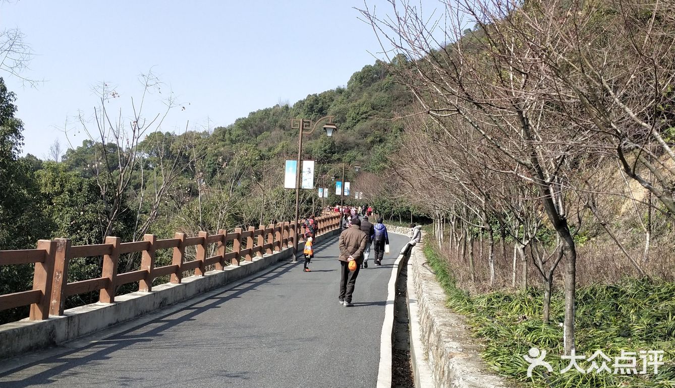 进去半山森林公园后,有左右两条路