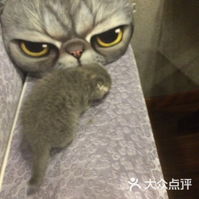 Dreamy Chicken韩式传统手工炸鸡-图片-江阴美