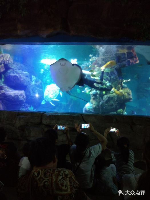 蠡湖中央公园海底世界图片 - 第5张