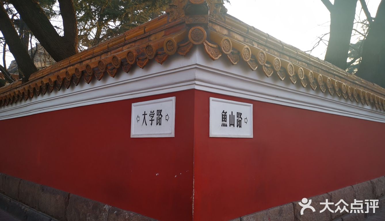 青岛最网红的打卡点,青岛最美街道— 大学路/鱼山路