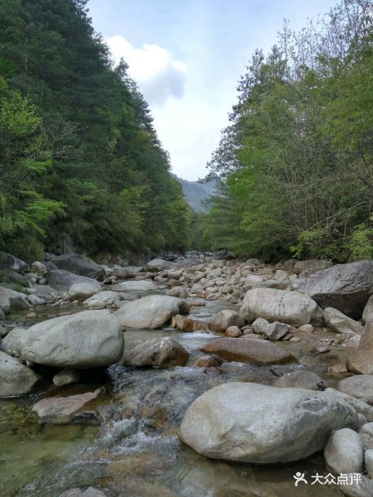 上坝河国家森林公园图片