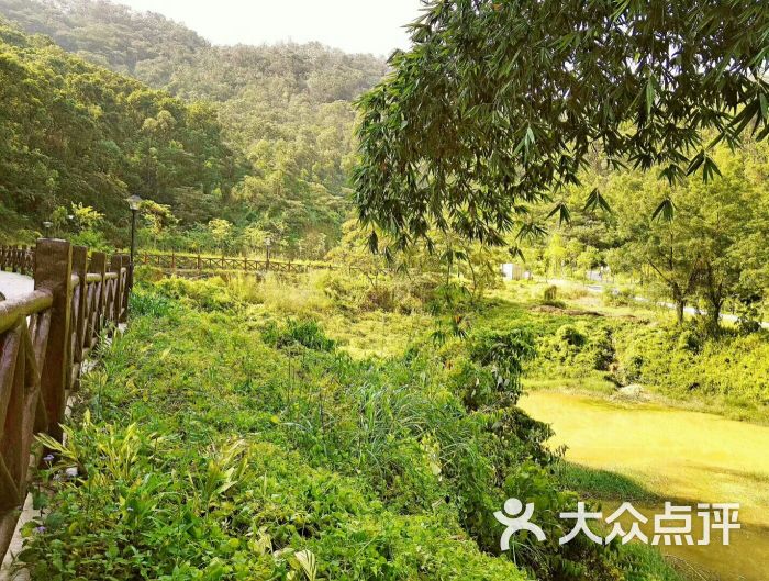 席帽山森林公园图片 第5张