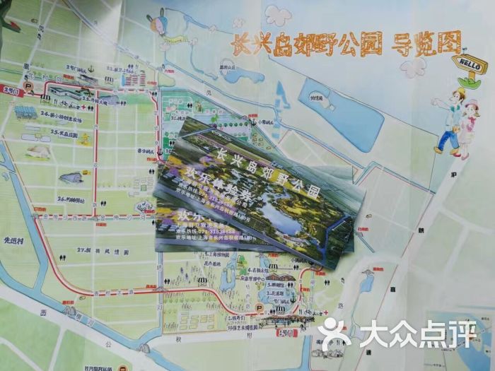 长兴岛郊野公园图片 - 第4张