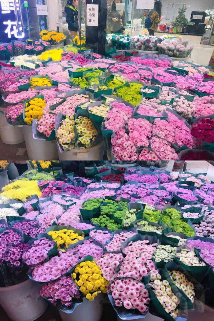 岭南花卉市场-"来这里的多数都是批发的,到了过年很多