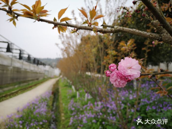 丰雨谷生态农庄坐落在重庆市巴南区木洞镇海