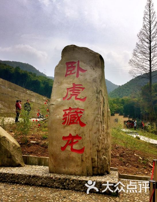 中国大竹海景区-图片-安吉县周边游-大众点评网