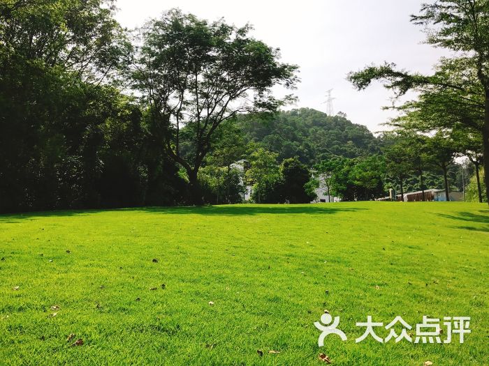 围岭公园-图片-深圳周边游-大众点评网