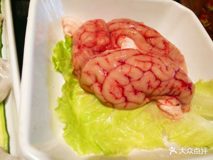 鲜猪脑花