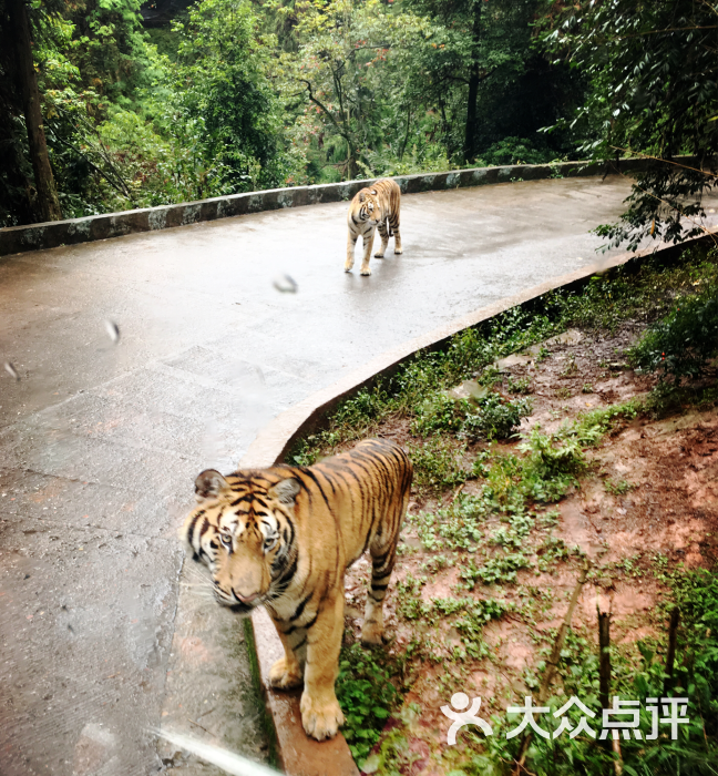 碧峰峡风景区图片 - 第7张